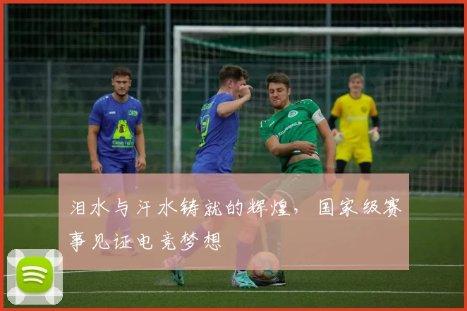 泪水与汗水铸就的辉煌，国家级赛事见证电竞梦想