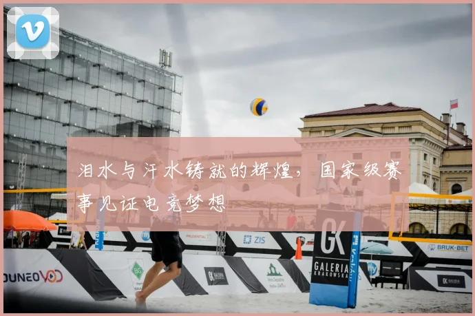 泪水与汗水铸就的辉煌，国家级赛事见证电竞梦想