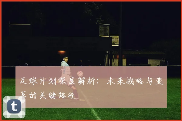 足球计划深度解析：未来战略与变革的关键路径